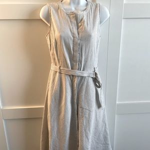 Banana Republic white blue-stripe dress / 4